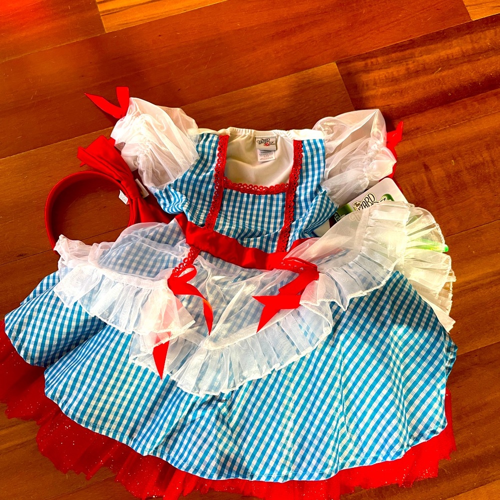 4T Dorthy Costume